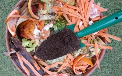 Reducir en Origen los Residuos Orgánicos: Una Solución Sostenible para unFuturo Mejor