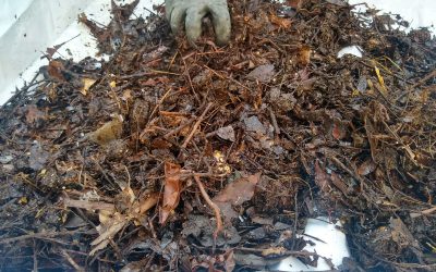 Guía Práctica de Compostaje | Transforma Residuos en Abono Natural